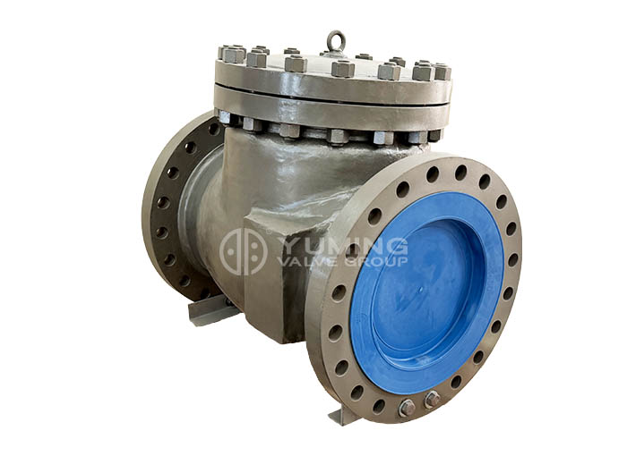 api Check Valve